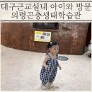 자연마당생태학습관2 | 아이와 대구근교실내 여행은 의령곤충생태학습관