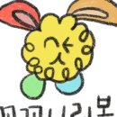 예쁜머리헤어쇼핑 - 울주군 | 예쁜머리헤어쇼핑