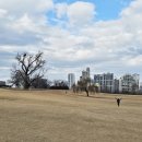 오금공원 이미지