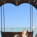 한울공원 해넘이 화장실 | 시흥 강아지 산책 배곧 한울공원 반려견운동장