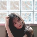 백서 스포츠경향