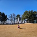 언남로 | 경기남부경찰청 용인체력단련장 후기