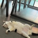 키즈앤파크 네이버블로그