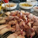 제주도로담 이미지
