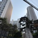 석수약국 이미지