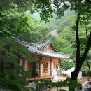 얼음골로 Daum카페