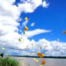 태릉입구역 3번출구 버스정류장 이미지