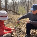 우면산3-18 이미지