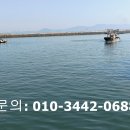 옛날토굴새우젓 이미지