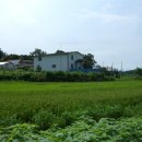 언덕위의 하얀집 이미지