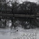 궁남지 동문주차장 화장실 이미지