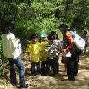 일동초병설유치원 이미지