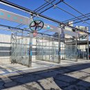 테라워시 대전송강점 이미지