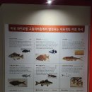 🦖 경주엑스포대공원 자연사박물관 후기