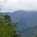 태권농장 이미지