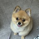 편안장여관 이미지