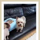 민지커피