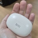 [쿠팡파트너스 광고포함] 브리츠 러닝 이어커프 오픈형 이어폰