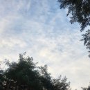 번암초등학교 이미지