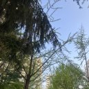 밀린 일상 몰아치기