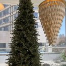 YB테라스 | [용인/카페]역북 카페/ 처인구 카페/ 용인 카페 /브런치 맛집‘역북 370’