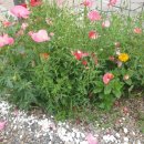 110헤이리 이미지