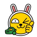 한국체대 복싱클럽 이미지