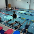 성성파인트리 수영장 이미지