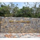 태생파크 이미지