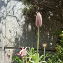 용운산장 이미지