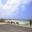 구좌 해안도로 이미지