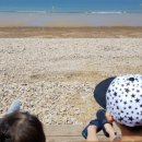 안면도 네잎클로버 수영장 이미지