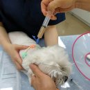 (주)메디비아 이미지