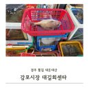 이동공설시장 | 경주 감포시장 대길회센타 내돈내산 후기 참돔 가자미회 가격 주차팁 정리