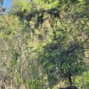 광개토농장 이미지