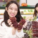 병권네포도농원