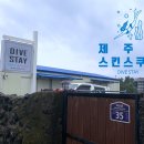 다이브스테이 이미지