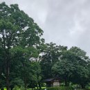 구산-010 이미지