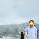 강원도 태백 목장 카페&lt;몽토랑산양목장&amp;몽토랑제빵소&gt;하이원 리조트 근처 아이랑 가볼만한 곳 놀거리...