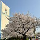 삼익비치B상가시장 이미지