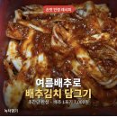 향기담기 | 배추1포기 김치담기 초간단레시피 완전맛있어요
