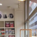 미소로동물병원 이미지