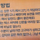 여주-0208 Daum카페