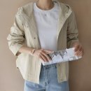 코튼테일 이미지
