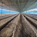 도경농장 이미지