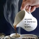 여우야 이미지