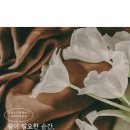 대포항샵