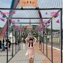 글로벌사이언스 | 대전 축제 가볼만한곳 '대전 사이언스 페스티벌' 방문후기