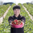 두현농장 이미지