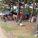 상양관광농원 이미지